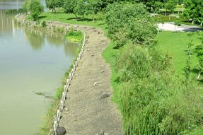 河道生態(tài)護坡的植被與水土保持原理